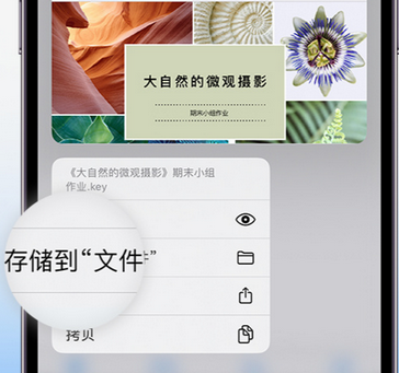 清水河apple维修中心分享iPhone文件应用中存储和找到下载文件