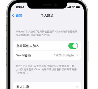 清水河apple服务站点分享iPhone上个人热点丢失了怎么办 