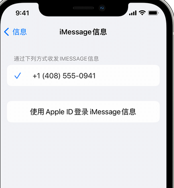 清水河apple维修iPhone上无法正常发送iMessage信息 