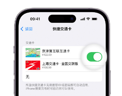 清水河apple维修点分享iPhone上更换Apple Pay快捷交通卡手绘卡面 