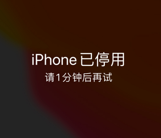 清水河苹果手机维修分享:iPhone 显示“不可用”或“已停用”怎么办？还能保留数据吗？ 