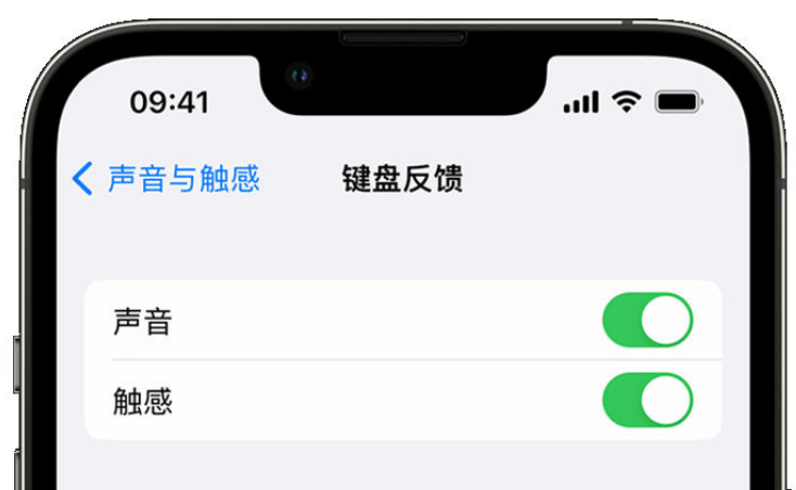 清水河苹果手机维修分享iPhone 14触感键盘使用方法 