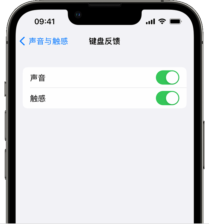 清水河苹果14维修店分享如何在 iPhone 14 机型中使用触感键盘 