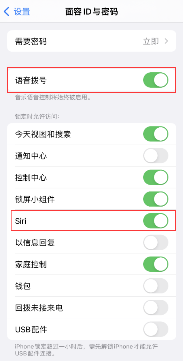 清水河苹果维修网点分享不解锁 iPhone 的情况下通过 Siri 拨打电话的方法 