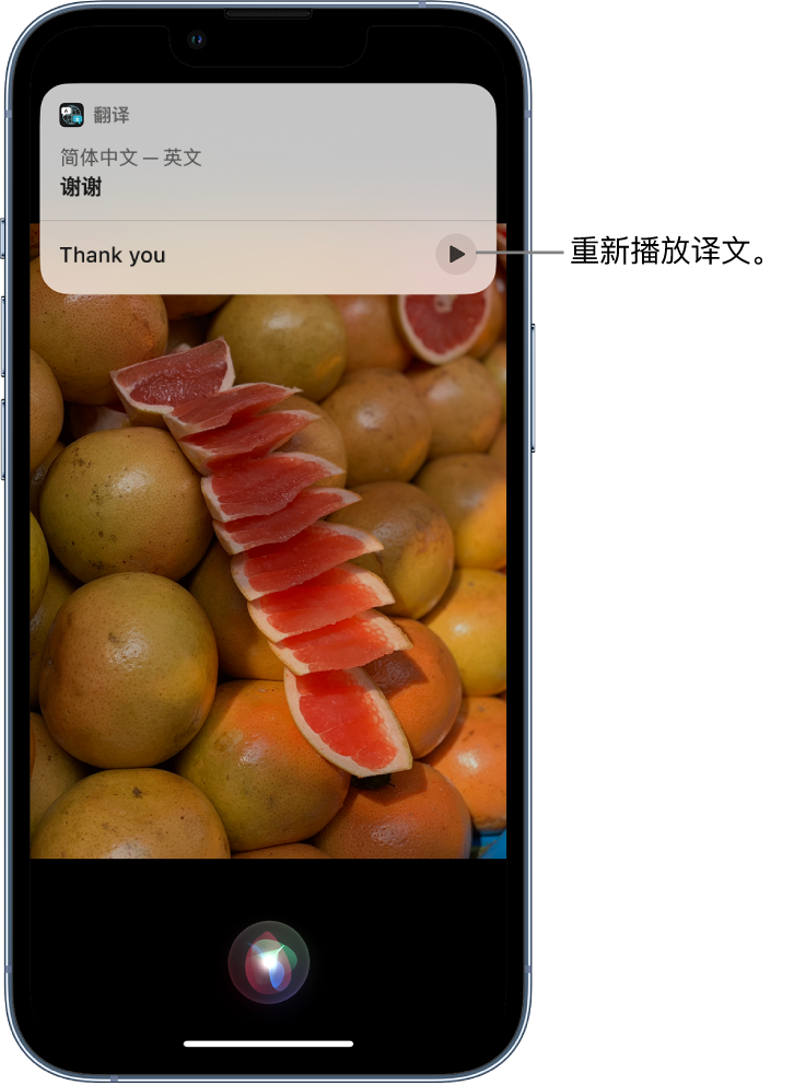 清水河苹果14维修分享 iPhone 14 机型中使用 Siri：了解 Siri 能帮你做什么 