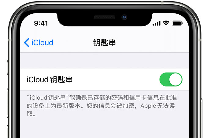 清水河苹果手机维修分享在 iPhone 上开启 iCloud 钥匙串之后会储存哪些信息 