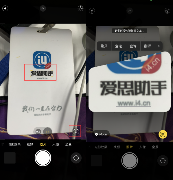 清水河苹果手机维修分享升级iOS 16后如何通过相机翻译文本 