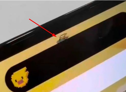 清水河苹果14维修分享iPhone 14 Pro Max灵动岛怎么养宠物 