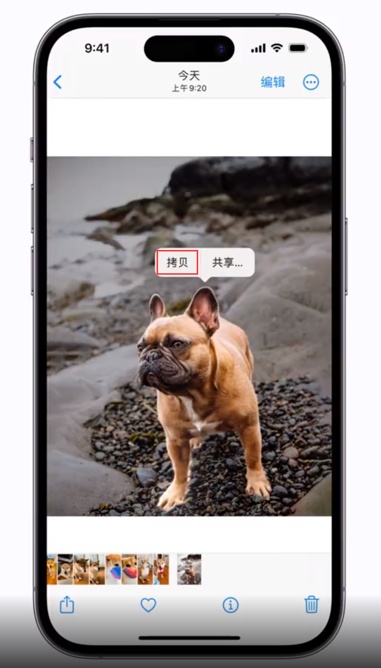 清水河 苹果手机维修分享iOS 16 “照片”应用更新内容与改进汇总 