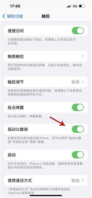 清水河苹果手机维修分享iPhone手机如何设置摇一摇删除文字 