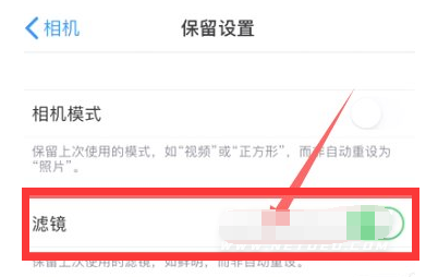 清水河苹果13维修分享iPhone13拍照有绿点是怎么回事 